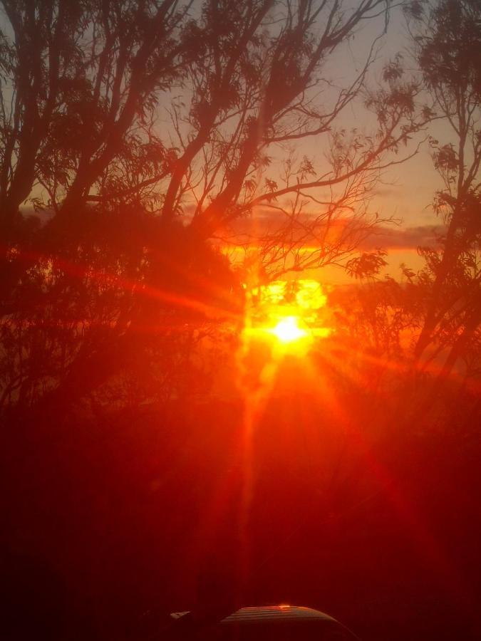 Flor De Loto Romantic Woodhouse Casita Camping Aguatona Buitenkant foto